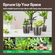 40 Packs 3/4/5/6 Inch Clear Nursery Pots with Drainage Holes