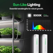 Smart 2-in-1 Grow Tent Kit GIY-SGS-43 3x4, 2-Plant Complete System, with WiFi E42A Controller, AeroLight Wing AW200SE LED Grow Light, and 4-inch AeroZesh G4 Ventilation Combo