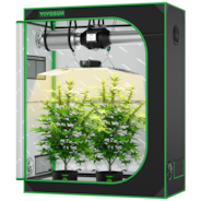 Starter Grow Tent Kit, 4 × 2ft 2-Plant System, WiFi-Controlled Grow System with Full Spectrum LED Grow Light, Automatic Ventilation, GrowHub Outlet A22 with Temperature and Humidity Sensor