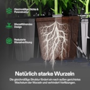 Seed Rooter, Plant Starter Plugs, Support Robust Roots for Seedlings and Cuttings, 40 Cubes, Designed for VSeed Smart Box & Seed Starter Trays