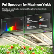 Smart Grow Tent Kit 8x8 Complete Indoor Grow System with Smart Controller, Full-Spectrum LED Grow Light & Ventilation Automation System, 1680D Mylar Tent 96"x96"x80"