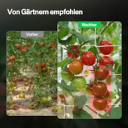 5 x 15 ft Heavy-duty Polyester Plant Trellis Netting 1-Pack