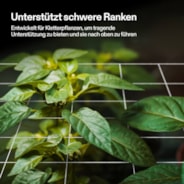 5 x 15 ft Heavy-duty Polyester Plant Trellis Netting 1-Pack