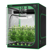 Smart Growbox Komplettset 150 x 150 x 200 cm, Komplettsystem für 6 Pflanzen GIY-SGS-55, mit WiFi E42A+ Controller, 3 x 200W AeroLight Wing SE LED Pflanzenlampe und 15 cm AeroZesh G6 Abluftset