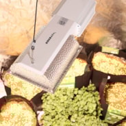 315W Ceramic Metal Halide CMH/CDM Grow Light Fixture w/No Bulb