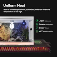 6 x 8 Inch Reptile Heat Mat and Digital Thermostat Combo