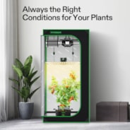 Starter Grow Tent Kit, 2.7 × 2.7ft 2-Plant System, WiFi-Controlled Grow System with Full Spectrum LED Grow Light, Automatic Ventilation, GrowHub Outlet A22 with Temperature and Humidity Sensor
