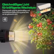 LumaRay Lichtleiste (4-Balken), Vollspektrum LED-Lichtbalken, SGS-kompatibel