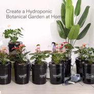 5 Gallon DWC Hydroponic System Kit (8 Bucket, Black)