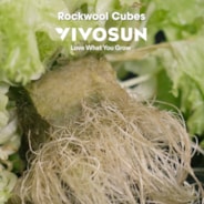 1.6" Rockwool Grow Cubes, 4 Sheets of 112 Plugs
