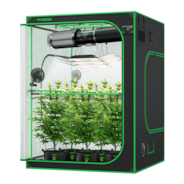 Smart Grow Tent Kit GIY-SGS-55 Pro 5x5, 6-Plant Complete System, with WiFi E42A Controller, 3x 200W AeroLight Wing LED Grow Light, 8-inch AeroZesh T8 Ventilation Combo, and 2x AeroWave E6 Gen2 Clip-on Fan