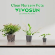 40 Packs 3/4/5/6 Inch Clear Nursery Pots with Drainage Holes