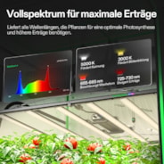 Smart Growbox Komplettset 150 x 150 x 200 cm, Komplettsystem für 6 Pflanzen, mit WiFi E42A+ Controller, 1 x 750W LumaLight LED Pflanzenlampe und 15 cm AeroZesh G6 Abluftset