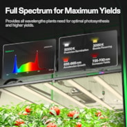Kit de tente Smart Grow 150 x 150 cm, système complet pour 6 plantes GIY-SGS-55, avec contrôleur WiFi E42A+, 1 x 750W LumaLight LED Grow Light et 6 pouces AeroZesh Ensemble de ventilation G6