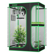 Standard 2-in-1 Grow Tent Kit GIY-43 4x3, 2-Plant Complete System, with 100W VS1000 LED Grow Light, and 4-inch Ventilation Combo