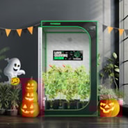 Brand Banner for Grow Tents