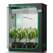 Grow Tent 5x2 S528, High Reflective Mylar with 1680D Oxford Canvas & Heavy-Duty Metal Support 60"x32"x80"