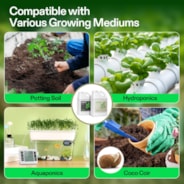 Nutrients Base A & B Bundle, Liquid Fertilizer Supports Vegetative and Flowering Stage, 1 Gallon Each