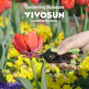 Gardening Hand Pruner Pruning Shear with Straight Stainless Steel Blades, Black-and-Green