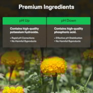 pH Up & pH Down Kit, Liquid Fertilizer for All Plants and All Growing Systems, 1 Quart Each