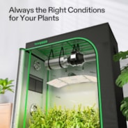 Complete Grow Tent Kit 4x2 Indoor Grow System with GrowHub WiFi Controller, Efficient Ventilation & Full-Spectrum LED Grow Light, 1680D Mylar Lightproof Tent 48"x24"x72"