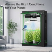 Smart Grow Tent Kit PRO 4x2 Indoor Grow System with 2-in-1 Tunable Spectrum LED Light, Smart GrowHub Automation, Efficient Ventilation & 360° Airflow, 2000D Mylar Tent 48"x24"x72"