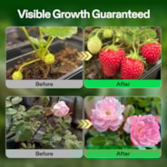 Nutrients Base A & B Bundle, Liquid Fertilizer Supports Vegetative and Flowering Stage