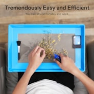 Herb Trimming Tray for Harvest, Blue