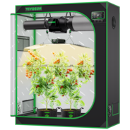 CLEARANCE |Smart Grow Tent Kit 4×2, 2-Plant System, WiFi-Integrated Automatic Grow System with Full Spectrum LED Grow Light, Efficient Ventilation System with GrowHub E42A+ Controller