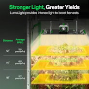 LumaLight LED Grow Light, Full Spectrum Plant Light, 100W Smart Dimmable & High PPFD for Indoor Plants Seedling Vegetables Bloom