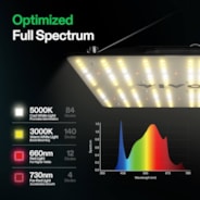 VS1000 Full Spectrum LED Grow Light Board 100W, High PPFD & Low Heat, 2 x 2 Ft. Coverage