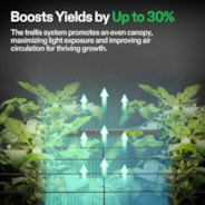 Trellis Net for VGrow Smart Grow Box, 1 x 1 ft