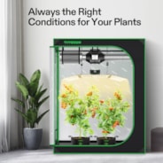 Starter Grow Tent Kit, 4 × 2ft 2-Plant System, WiFi-Controlled Grow System with Full Spectrum LED Grow Light, Automatic Ventilation, GrowHub Outlet A22 with Temperature and Humidity Sensor