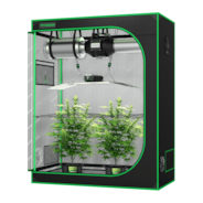 Standard Grow Tent Kit GIY-42 2x4, 2-Plant Complete System, with VSL-LL200 Lumalight LED Grow Light, and 4-inch Ventilation Combo
