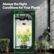 Smart Grow Tent Kit, 2 × 2ft 1-Plant System, WiFi-Integrated Automatic Grow System with Full Spectrum LED Grow Light, Efficient Ventilation System with GrowHub E42A+ Controller