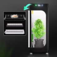 Ersatzfilter für die VGrow Smart Grow Box, 2er-Pack