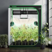 Grow Tent 5x5 S558, 6-10 Plants Use, 600D Light-proof Oxford, 60″ x 60″ x 80″, For Indoor Plants Growing