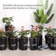 18,9L DWC Hydroponik-System Set (8 Eimer, Schwarz)