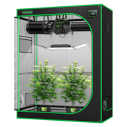 Smart Grow Tent Kit GIY-SE-42 4x2, 2-Plant Complete System, with WiFi E42A Controller, 200W AeroLight Wing SE LED Grow Light, and 4-inch AeroZesh S4 Ventilation Combo