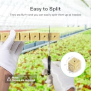 1" Rockwool Grow Cubes, 4 Sheets of 200 Plugs