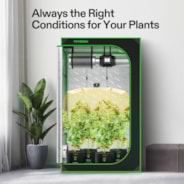 Starter Grow Tent Kit, 4 × 4ft 4-Plant System, WiFi-Controlled Grow System with Full Spectrum LED Grow Light, Automatic Ventilation, GrowHub Outlet A22 with Temperature and Humidity Sensor