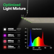 VSFD6500 Full Spectrum LED Grow Light Bar 650W, Detachable Design with 6 Dimming Option, 4 x 4 Ft. Coverage