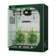 Standard Grow Tent Kit GIY-42 2x4, 2-Plant Complete System, with 200W VS2000 LED Grow Light, and 4-inch Ventilation Combo