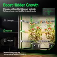 LumaRay Side Lights (4-Bar), Full Spectrum LED Bar Lights, SGS Compatible 