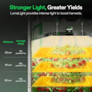 LumaLight LED Grow Light, Full Spectrum Plant Light, 200W Smart Dimmable & High PPFD for Indoor Plants Seedling Vegetables Bloom