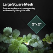 Trellis Net for VGrow Smart Grow Box, 1 x 1 ft