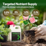 Cal+Mag+Iron (2-0-0), Calcium, Magnesium & Iron Supplement, Liquid Nutrient Fertilizer for All Plants, 1 Quart