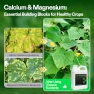 Cal+Mag+Iron (2-0-0), Calcium, Magnesium & Iron Supplement, Liquid Nutrient Fertilizer for All Plants, 1 Quart