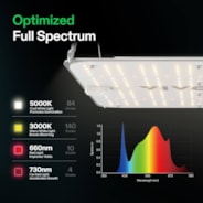 VS1000E Full Spectrum LED Grow Light Board 100W, High PPFD & Low Heat, 2 x 2 Ft. Coverage