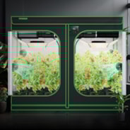 Grow Tent 8x8 S888, 16-24 Plants Use, 600D Light-proof Oxford, 96″ x 96″ x 80″, For Indoor Plants Growing